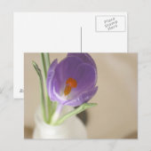 Crocus Arrangement Postkarte (Vorne/Hinten)