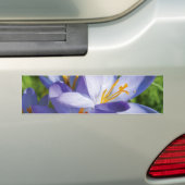 Crocus Autoaufkleber (Auf Auto)