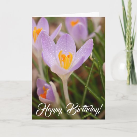 Crocus Birthday Blessings Karte (Vorderseite)