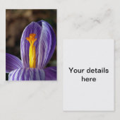 Crocus Blossom - Visitenkarte (Vorne/Hinten)