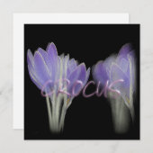 CROCUS-BLUME FEIERTAGSKARTE (Vorne/Hinten)