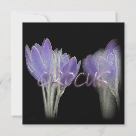 CROCUS-BLUME FEIERTAGSKARTE (Vorderseite)