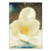 Crocus Blume Grunge (Vorne)