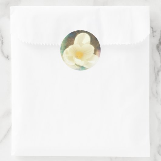 Crocus Blume Grunge Runder Aufkleber (Tasche)