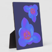 Crocus Blume Hot und Cold Plaque Fotoplatte (Seite)