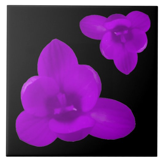 Crocus Blume Lila Tile Fliese (Vorderseite)