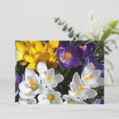 Crocus Blume Mix Floral Dankeskarte (Stehend Vorderseite)