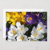Crocus Blume Mix Floral Dankeskarte (Vorne/Hinten)