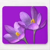Crocus Blume Mousepad Lila / Blau Dekoration Gesch (Vorne)