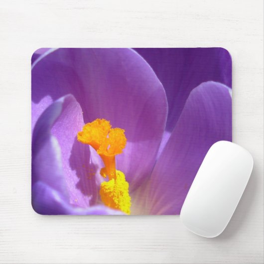 Crocus Blume Mousepad Lila / Blau Dekoration Gesch (Mit Mouse)