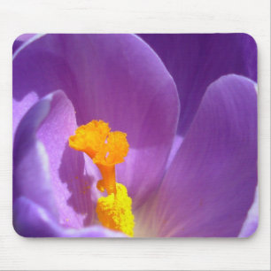 Crocus Blume Mousepad Lila / Blau Dekoration Gesch