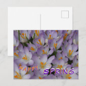 Crocus Blume Muster Happy Spring Postcard Postkarte (Vorne/Hinten)