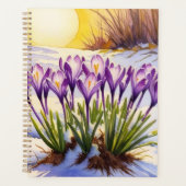 Crocus Blume Planer (Vorderseite)