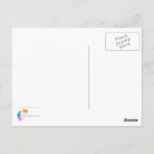 Crocus Blume Postkarte (Rückseite)