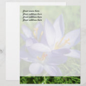 Crocus Briefkopf (Vorne/Hinten)