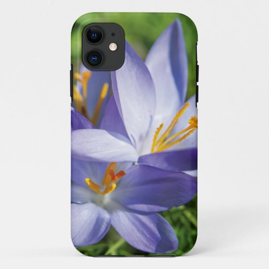 Crocus Case-Mate iPhone Hülle (Rückseite)