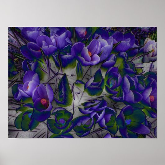Crocus Cloud Pattern Poster (Vorne)