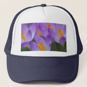 Crocus feine sanfte Blüten Truckerkappe