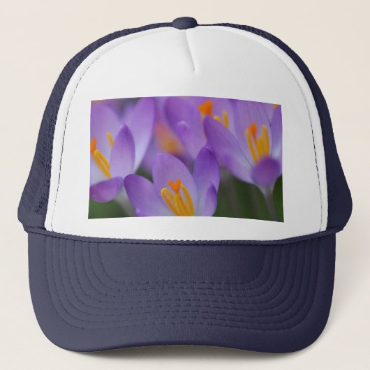 Crocus feine sanfte Blüten Truckerkappe (Vorderseite)