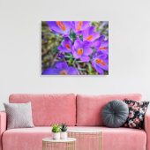 Crocus Fine Art Leinwanddruck (Insitu (Wohnzimmer))