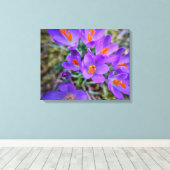 Crocus Fine Art Leinwanddruck (Insitu (Holzboden))