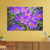 Crocus Fine Art Leinwanddruck (Insitu (Wohnzimmer))