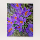 Crocus Fine Art Puzzle (Vertikal)