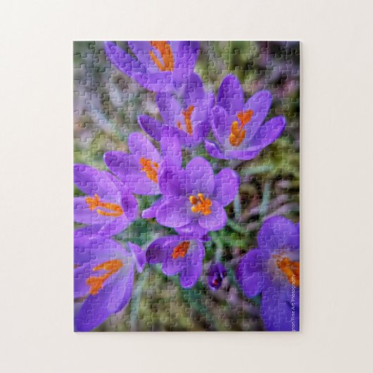 Crocus Fine Art Puzzle (Vertikal)