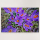 Crocus Fine Art Puzzle (Horizontal)