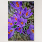Crocus Fine Art Puzzle (Vertikal)