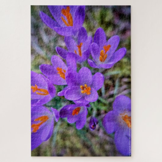 Crocus Fine Art Puzzle (Vertikal)