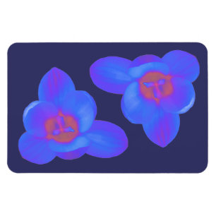Crocus Flower Hot and Cold Premium Magnet