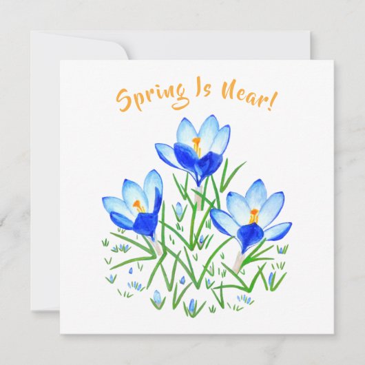 Crocus Flower on White Flat Card (Vorderseite)