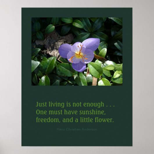 Crocus Garden inspirierendes Poster (Vorne)