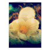 Crocus Grunge (Vorne)