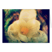 Crocus Grunge (Vorderseite (Horizontal))