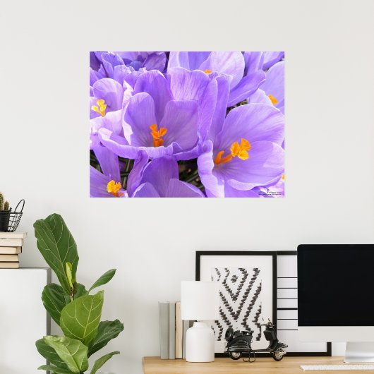 Crocus Large Print Poster (Heimbüro)