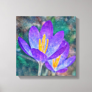 Crocus Leinwanddruck