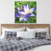 Crocus Leinwanddruck (Insitu (Schlafzimmer))