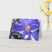 Crocus Lila Denken Karte (Gelbe Blume)