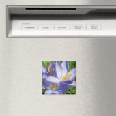 Crocus Magnet (In Situ (Geschirrspüler))