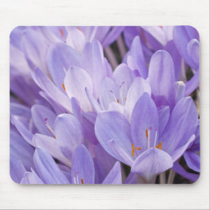 Crocus-Mauspad Mousepad