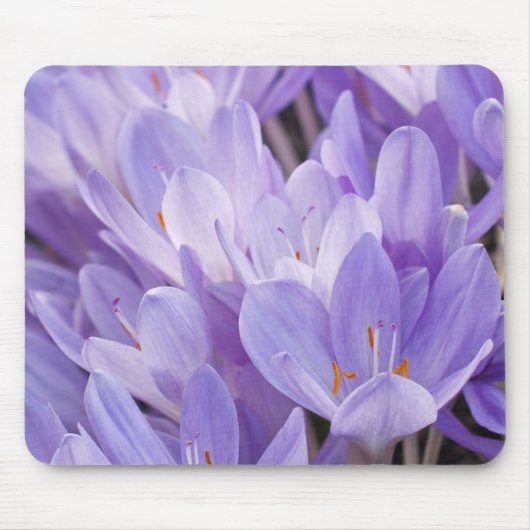 Crocus-Mauspad Mousepad (Vorne)