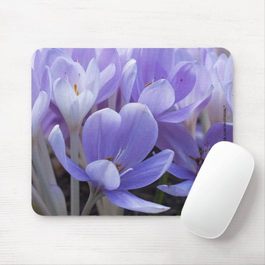 Crocus Mousepad (Mit Mouse)