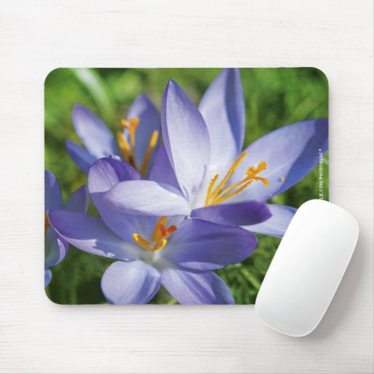 Crocus Mousepad (Mit Mouse)