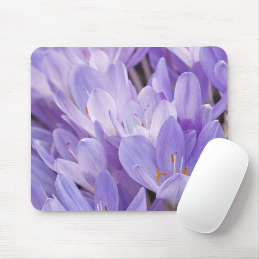 Crocus Mousepad (Mit Mouse)