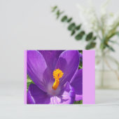 Crocus Nah-Up-DIY-Postkarte Postkarte (Stehend Vorderseite)