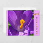 Crocus Nah-Up Happy Birthday Postcard Postkarte (Vorne/Hinten)