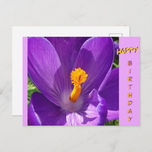 Crocus Nah-Up Happy Birthday Postcard Postkarte (Vorne/Hinten)
