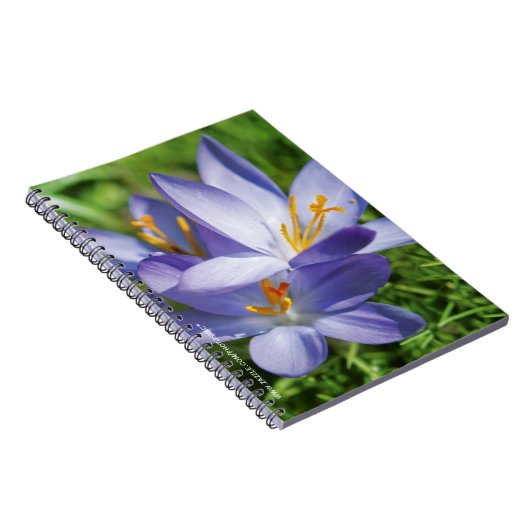 Crocus Notizblock (Rechte Seite)